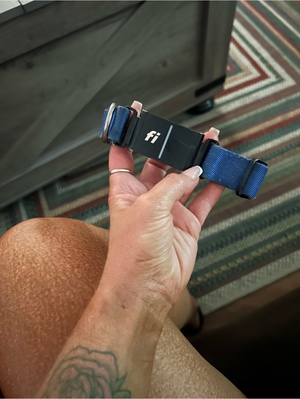 Fi smart tracker collar
